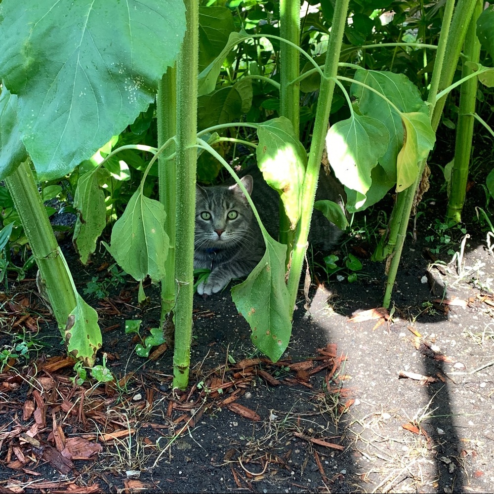 Meet your Posher, Emily